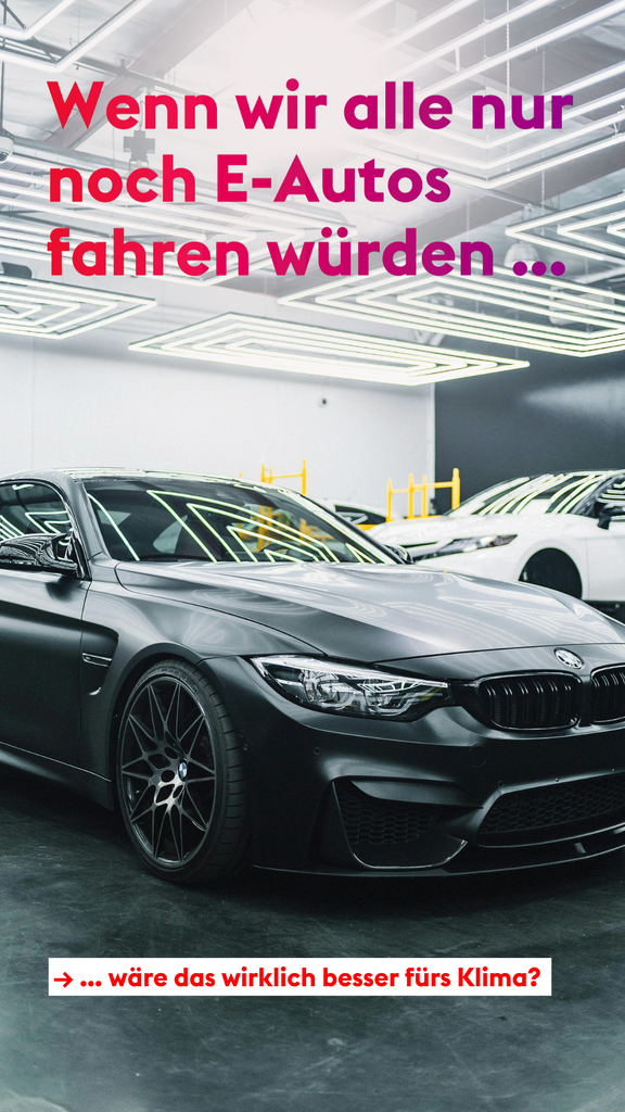 Beschreibung